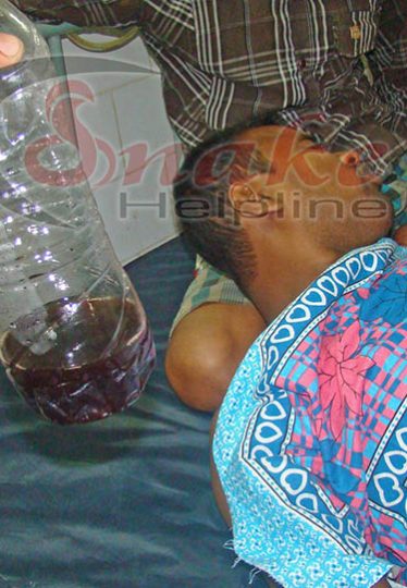 Hematuria Hematuria